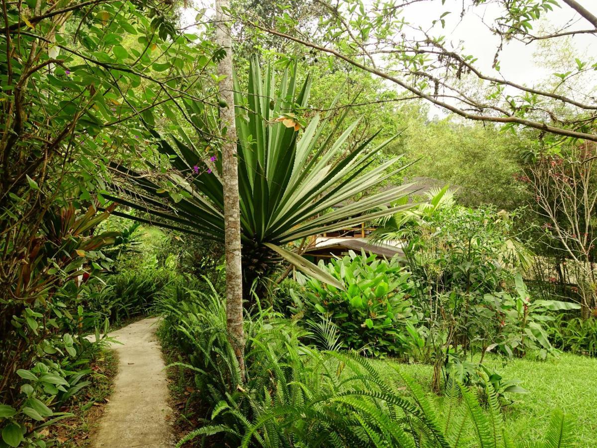 فندق Cabanas Bambu ميندو المظهر الخارجي الصورة